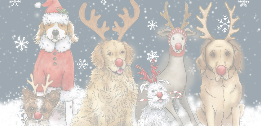 Sale Banner Image